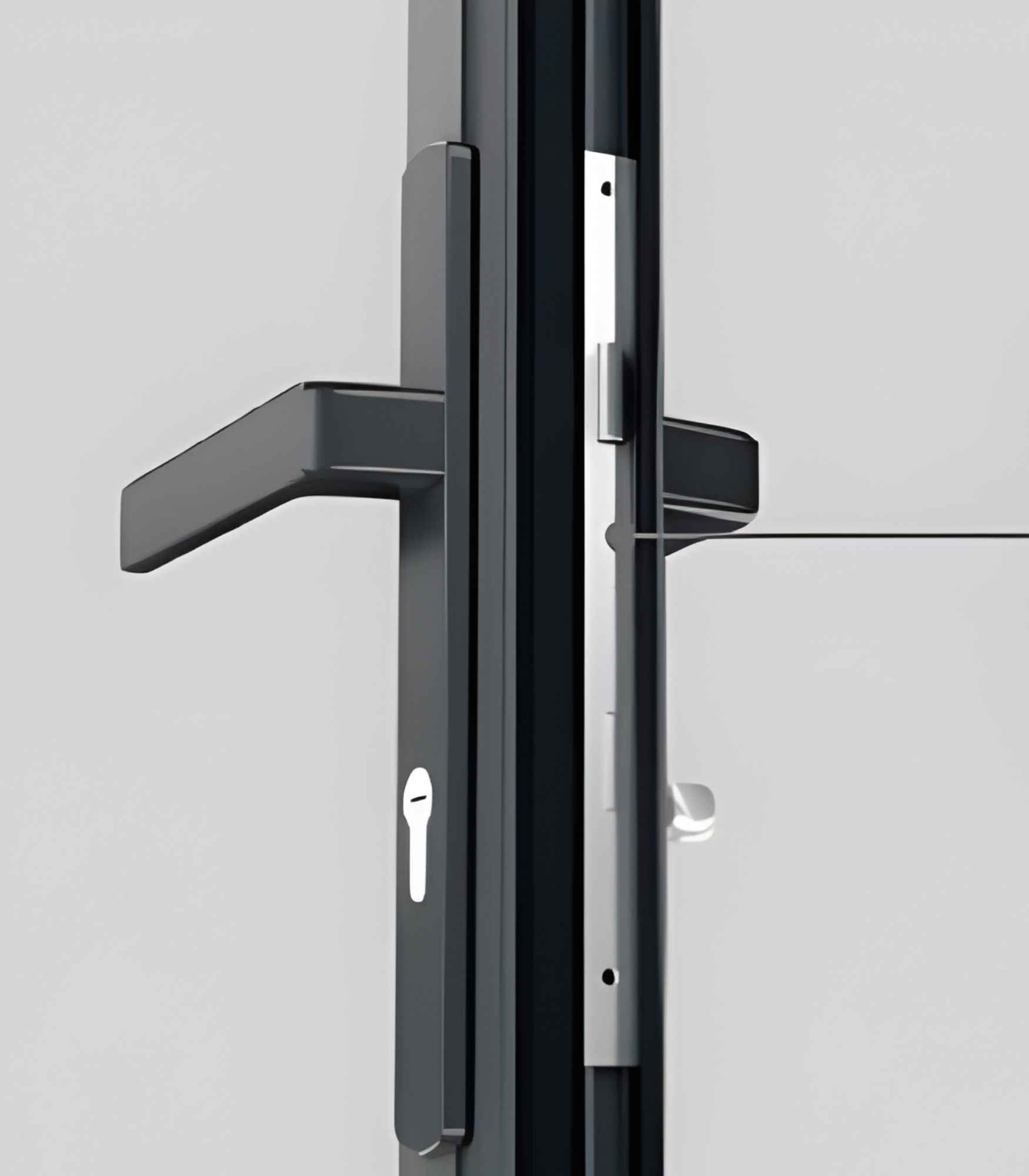 VLX 100 Swing / Entry Door in Miami, FL | Westlight Windows Miami - detail 5